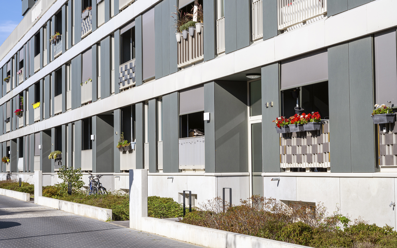 Wohngebäude von vorne, man sieht die Balkone mit Pflanzen sowie viele Fenster